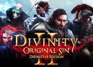 Divinity: Original Sin 2 – Steam Software License (Digital Key)